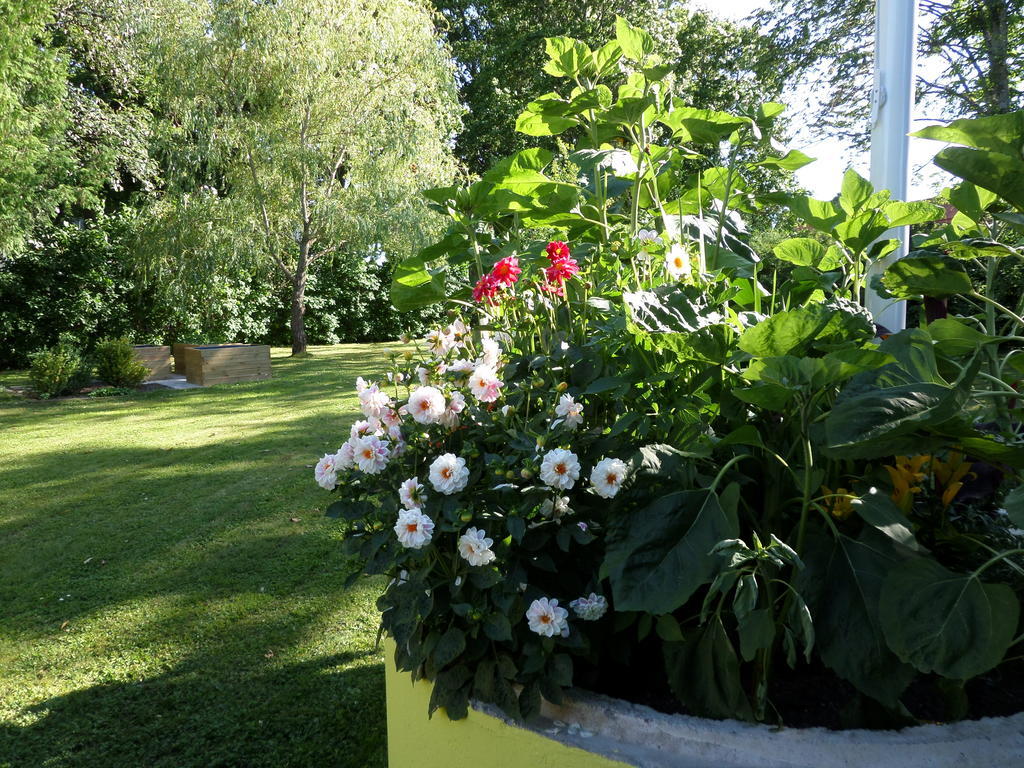 Skogis Bed & Breakfast Катринехолм Екстериор снимка