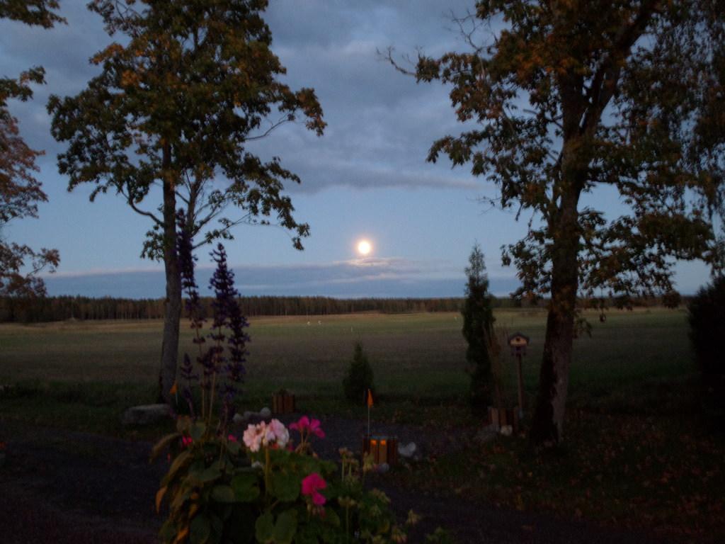 Skogis Bed & Breakfast Катринехолм Екстериор снимка